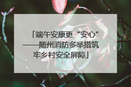 端午安康更“安心”——随州消防多举措筑牢乡村安全屏障