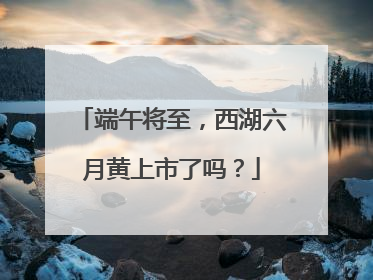 端午将至，西湖六月黄上市了吗？
