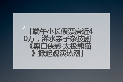 端午小长假票房近40万，浠水亲子杂技剧《黑白侠影·太极熊猫》掀起观演热潮