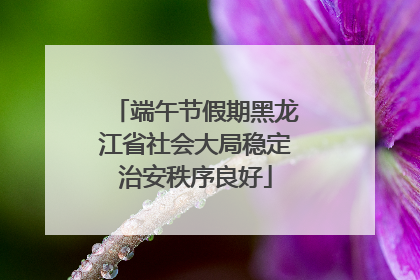 端午节假期黑龙江省社会大局稳定治安秩序良好