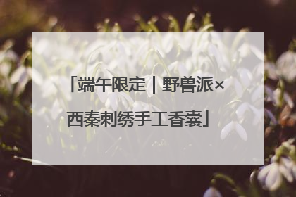 端午限定｜野兽派×西秦刺绣手工香囊