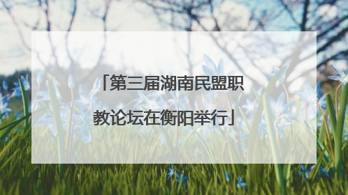 第三届湖南民盟职教论坛在衡阳举行