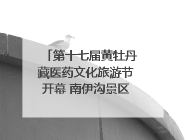 第十七届黄牡丹藏医药文化旅游节开幕 南伊沟景区重新开放
