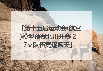 第十五届运动会(航空)模型预赛北川开赛 27支队伍竞逐蓝天