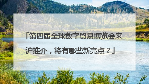 第四届全球数字贸易博览会来沪推介，将有哪些新亮点？