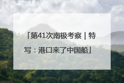 第41次南极考察｜特写：港口来了中国船