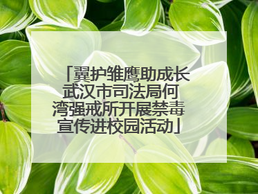 翼护雏鹰助成长 武汉市司法局何湾强戒所开展禁毒宣传进校园活动