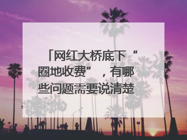 网红大桥底下“圈地收费”，有哪些问题需要说清楚｜新京报快评
