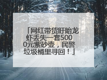 网红带货盱眙龙虾丢失一套5000元紫砂壶，民警垃圾桶里寻回！