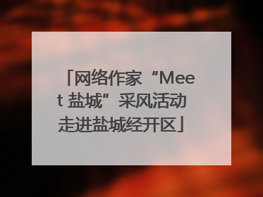 网络作家“Meet 盐城”采风活动走进盐城经开区
