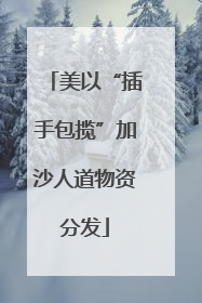 美以“插手包揽”加沙人道物资分发