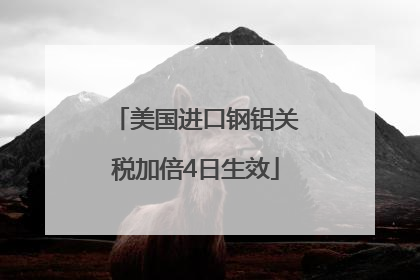 美国进口钢铝关税加倍4日生效