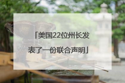 美国22位州长发表了一份联合声明