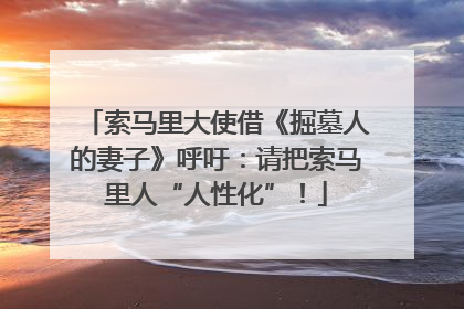索马里大使借《掘墓人的妻子》呼吁：请把索马里人“人性化”！