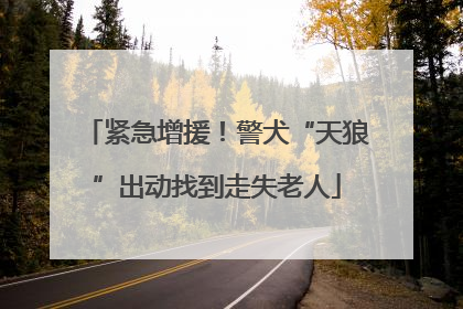 紧急增援！警犬“天狼”出动找到走失老人