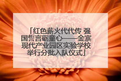 红色薪火代代传 强国誓言砺童心——金寨现代产业园区实验学校举行分批入队仪式