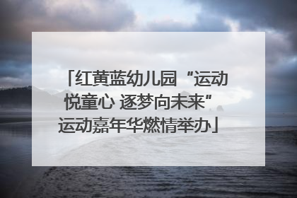 红黄蓝幼儿园“运动悦童心 逐梦向未来”运动嘉年华燃情举办