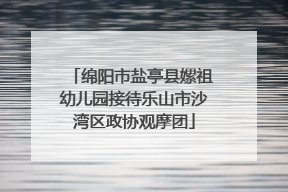 绵阳市盐亭县嫘祖幼儿园接待乐山市沙湾区政协观摩团
