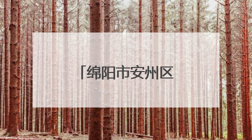 绵阳市安州区实验幼儿园在省幼儿足球赛中荣获双项二等奖