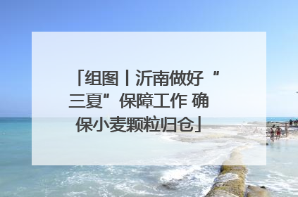 组图丨沂南做好“三夏”保障工作 确保小麦颗粒归仓