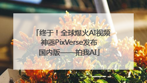 终于！全球爆火AI视频神器PixVerse发布国内版——拍我AI