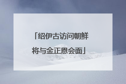 绍伊古访问朝鲜 将与金正恩会面