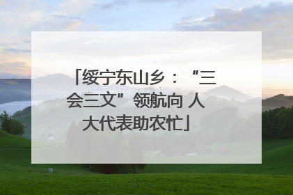 绥宁东山乡：“三会三文”领航向 人大代表助农忙