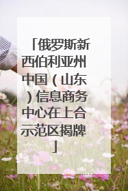 俄罗斯新西伯利亚州中国（山东）信息商务中心在上合示范区揭牌