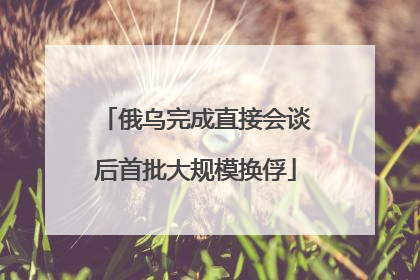 俄乌完成直接会谈后首批大规模换俘