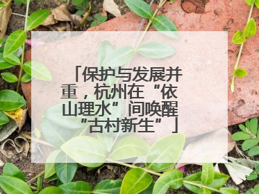 保护与发展并重，杭州在“依山理水”间唤醒“古村新生”