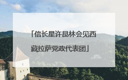 信长星许昆林会见西藏拉萨党政代表团