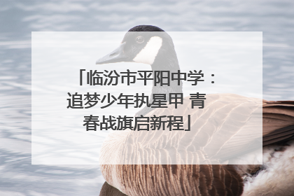临汾市平阳中学：追梦少年执星甲 青春战旗启新程