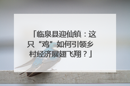 临泉县迎仙镇：这只“鸡”如何引领乡村经济展翅飞翔？