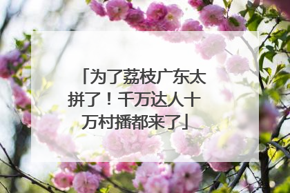 为了荔枝广东太拼了！千万达人十万村播都来了