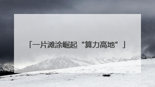 一片滩涂崛起“算力高地”