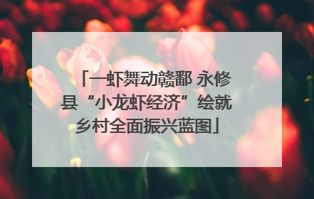 一虾舞动赣鄱 永修县“小龙虾经济”绘就乡村全面振兴蓝图