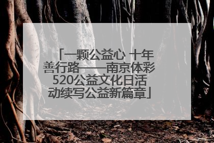 一颗公益心 十年善行路——南京体彩520公益文化日活动续写公益新篇章