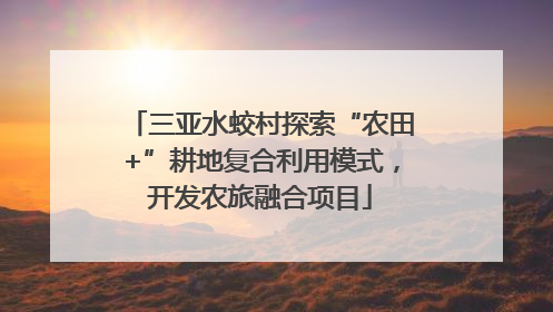 三亚水蛟村探索“农田+”耕地复合利用模式，开发农旅融合项目