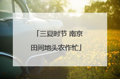 三夏时节 南京田间地头农作忙