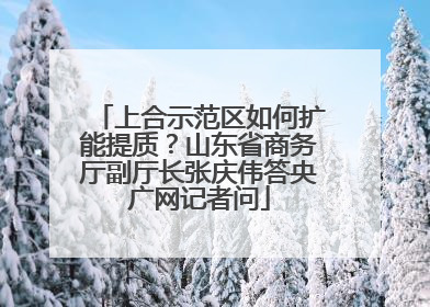 上合示范区如何扩能提质？山东省商务厅副厅长张庆伟答央广网记者问