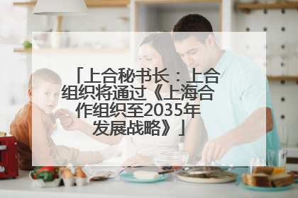 上合秘书长：上合组织将通过《上海合作组织至2035年发展战略》