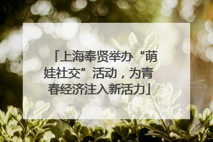 上海奉贤举办“萌娃社交”活动，为青春经济注入新活力