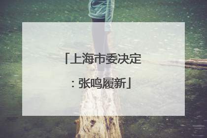 上海市委决定：张鸣履新