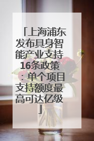 上海浦东发布具身智能产业支持16条政策：单个项目支持额度最高可达亿级