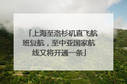 上海至洛杉矶直飞航班复航，至中亚国家航线又将开通一条