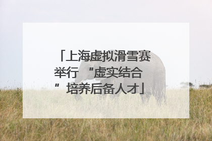 上海虚拟滑雪赛举行 “虚实结合”培养后备人才
