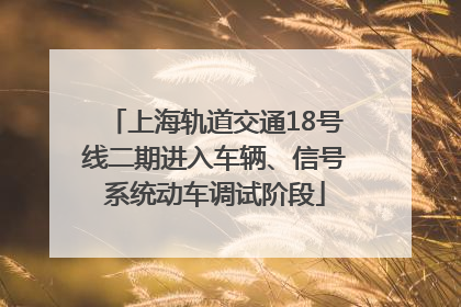 上海轨道交通18号线二期进入车辆、信号系统动车调试阶段