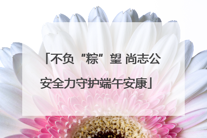 不负“粽”望 尚志公安全力守护端午安康