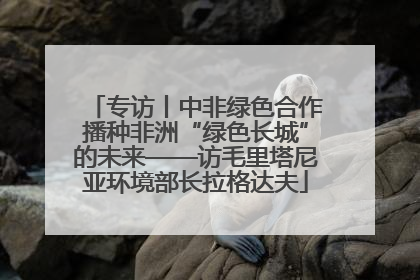 专访丨中非绿色合作播种非洲“绿色长城”的未来——访毛里塔尼亚环境部长拉格达夫