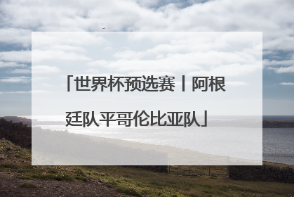 世界杯预选赛丨阿根廷队平哥伦比亚队